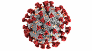 Acti-Med: Aktueller Stand zum Corona Virus 